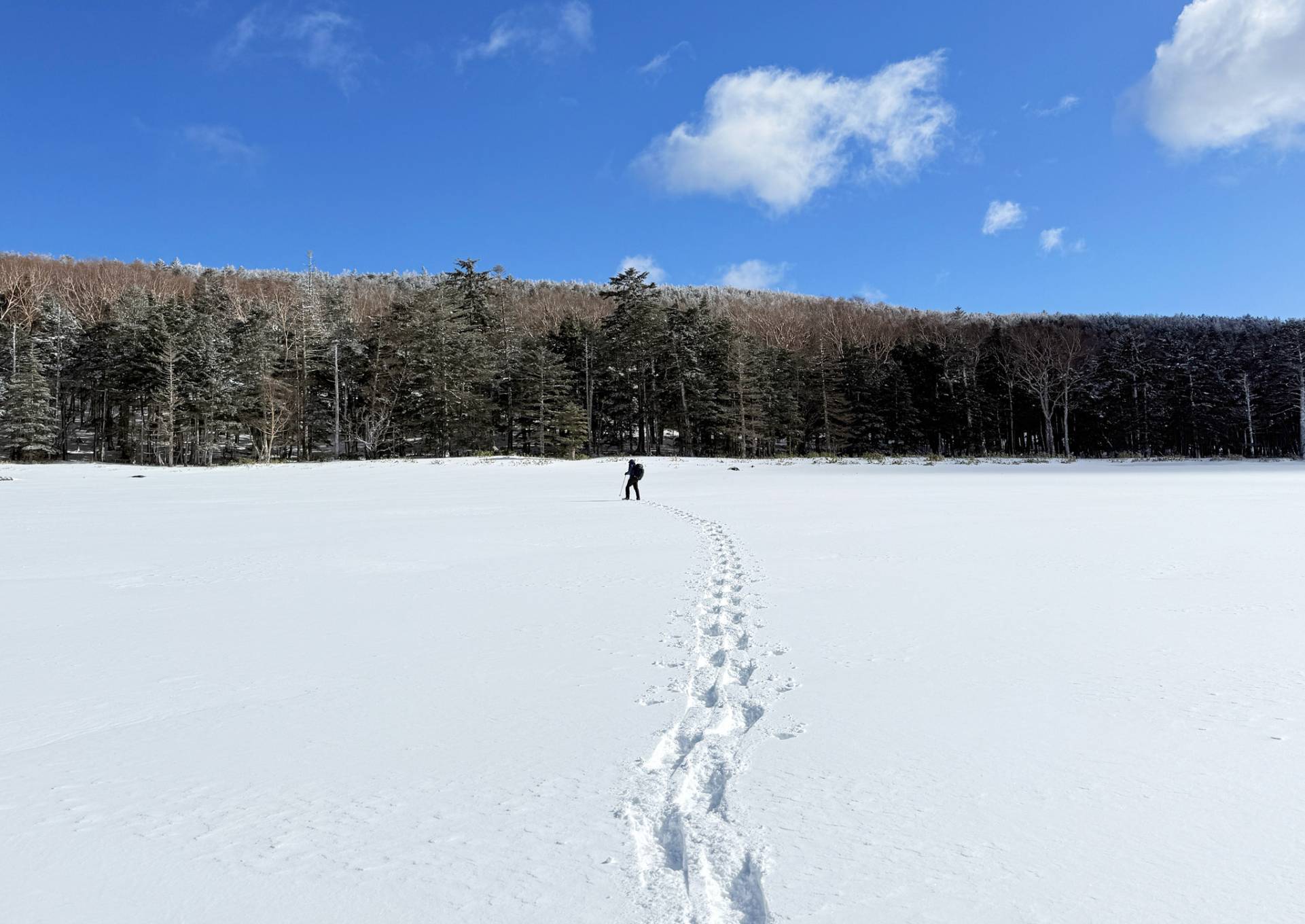 大人の雪遊び スノーシューで歩く、白銀の時間 大人の雪遊び スノーシューで歩く、白銀の時間