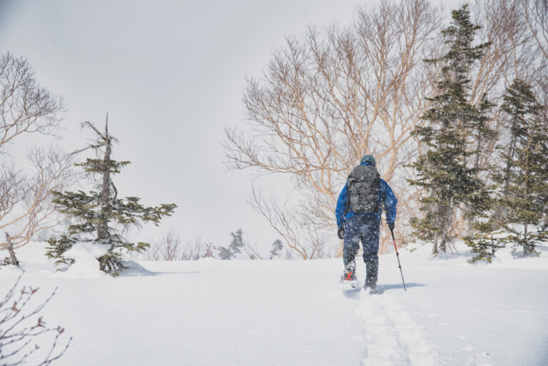 2025/2/4-5 大人の雪遊び スノーシューで歩く白銀の北八ヶ岳 2025年2月