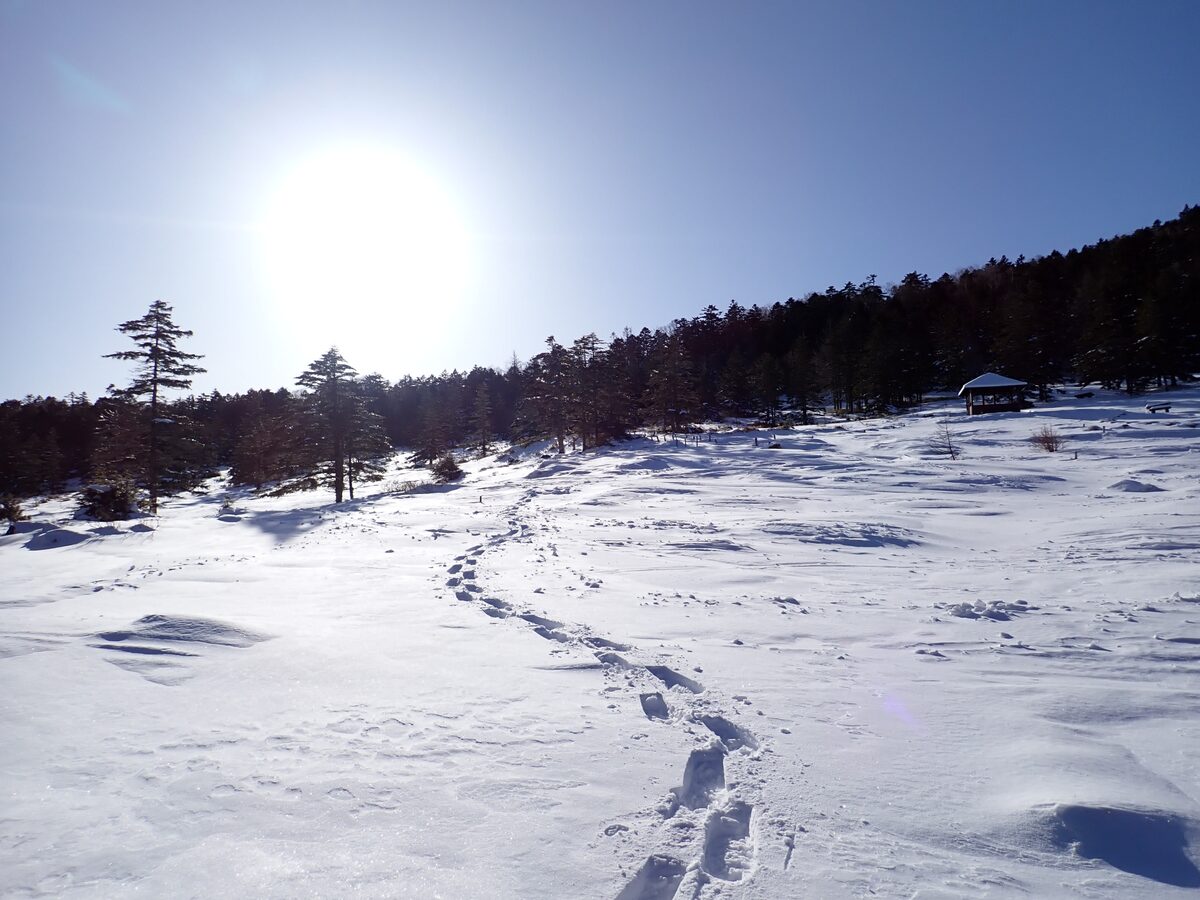 2025/3/14-15 大人の雪遊び スノーシューで歩く白銀の北八ヶ岳 - 画像 (8)