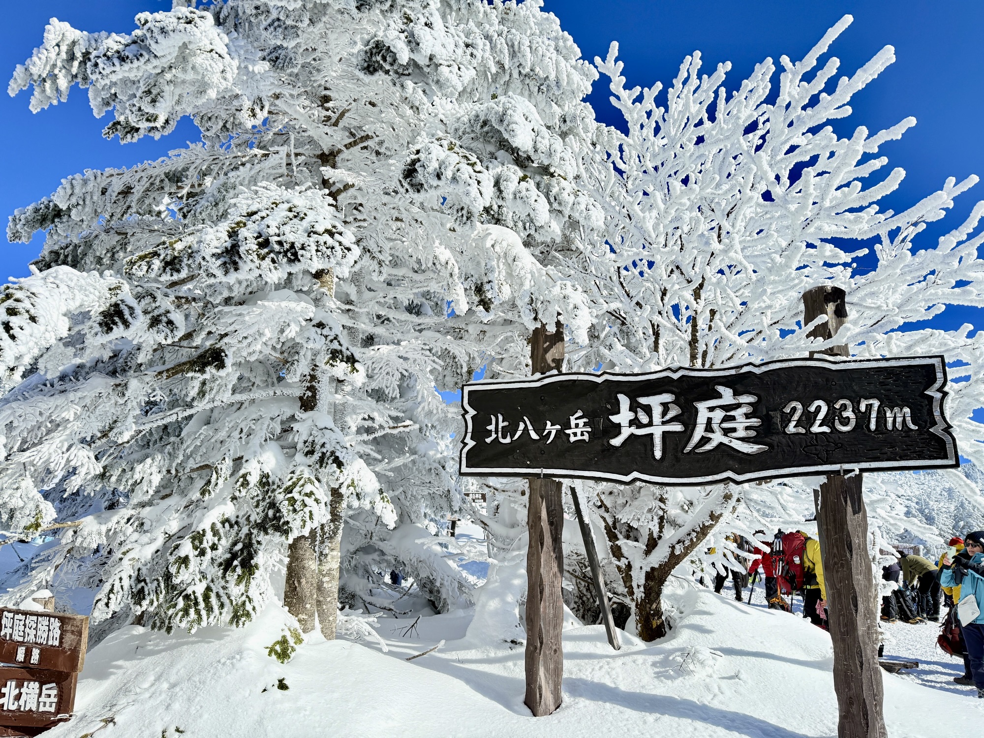 2026/1/18(日) 白銀の北八ヶ岳 1dayスノーシュー体験 - 画像 (5)