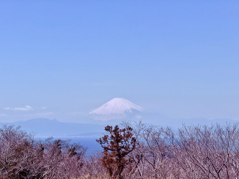 4/7(月) 大人の遠足 春の葉山 ゆったり山さんぽ 海さんぽ