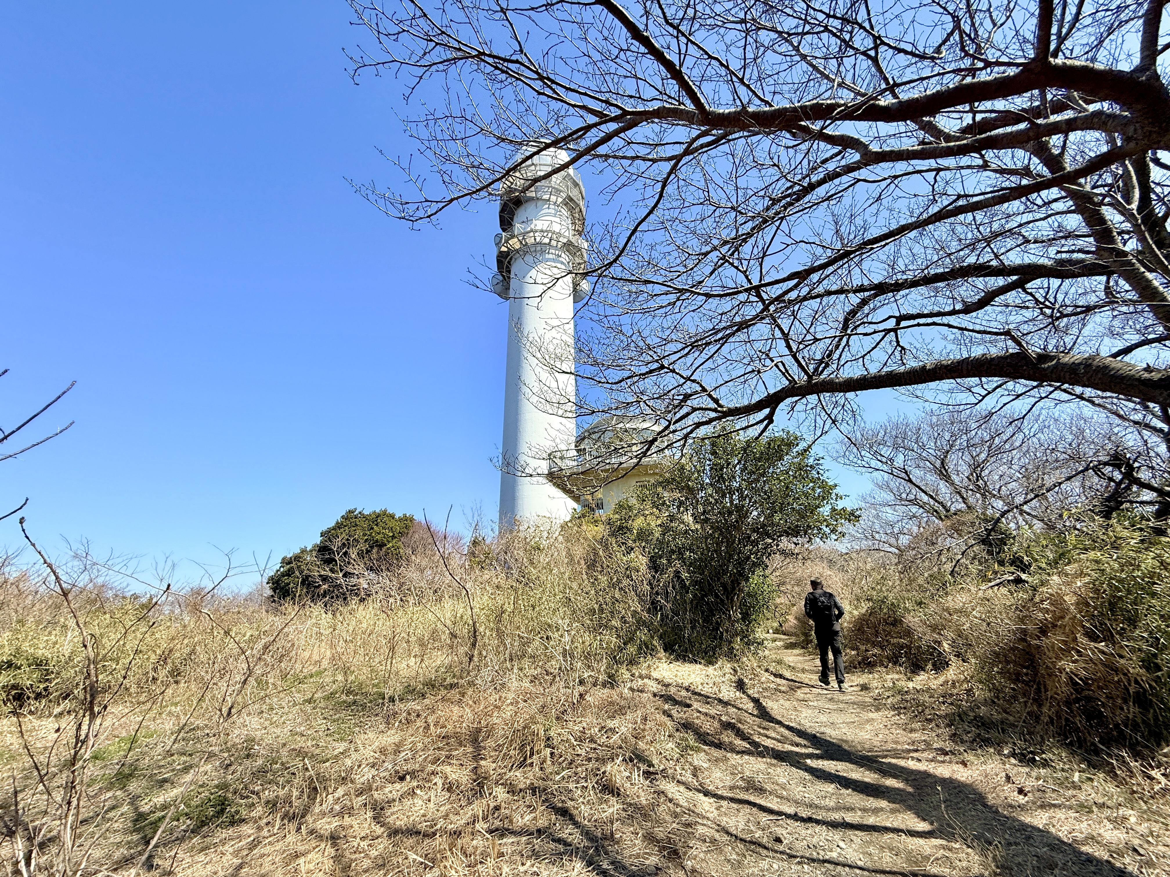 4/7(月) 大人の遠足 春の葉山 ゆったり山さんぽ 海さんぽ - 画像 (3)