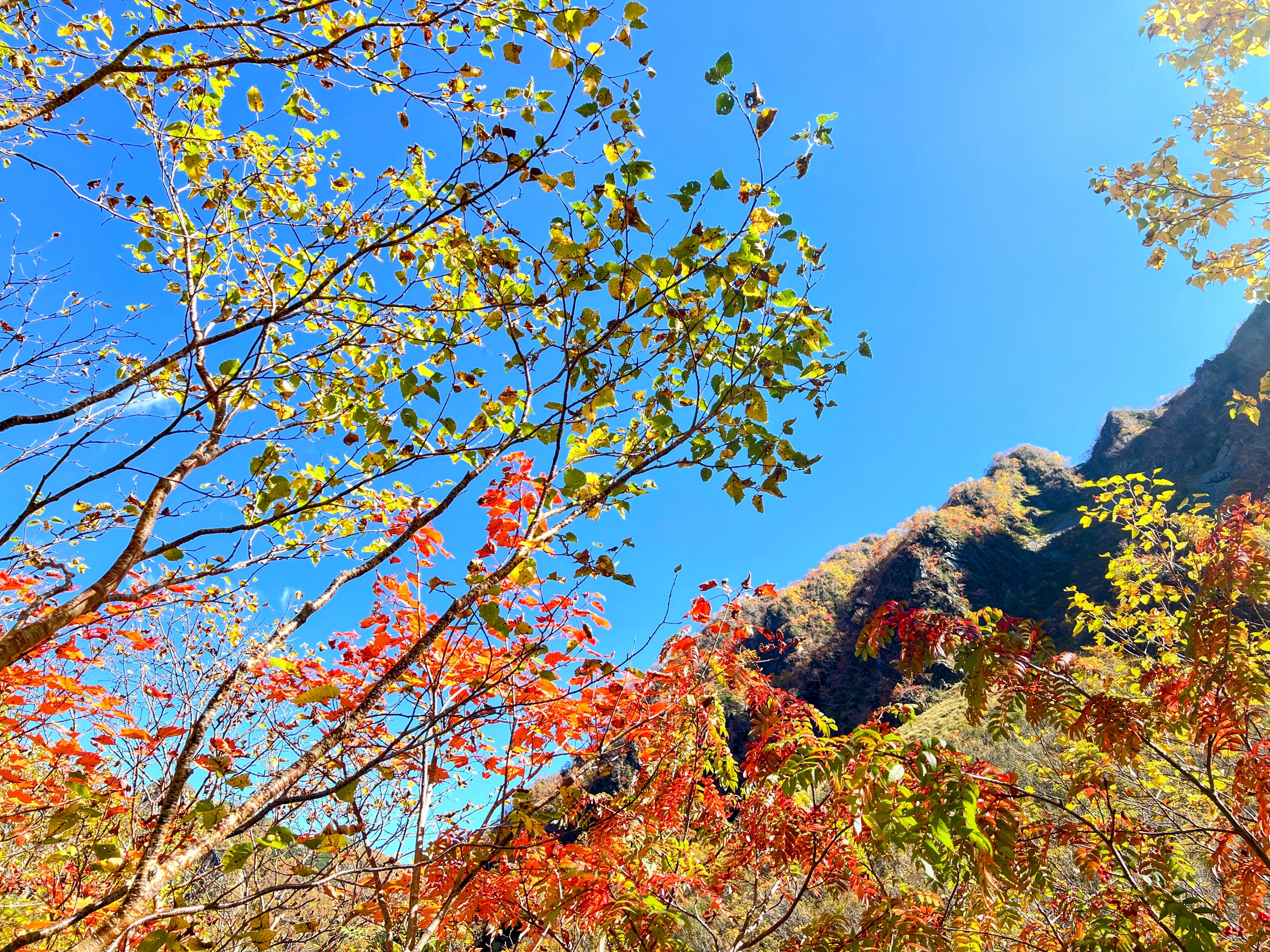 2025/9/28-30 神秘の絶景! 上高地・徳澤園の極上ステイと涸沢カールの紅葉 - 画像 (4)