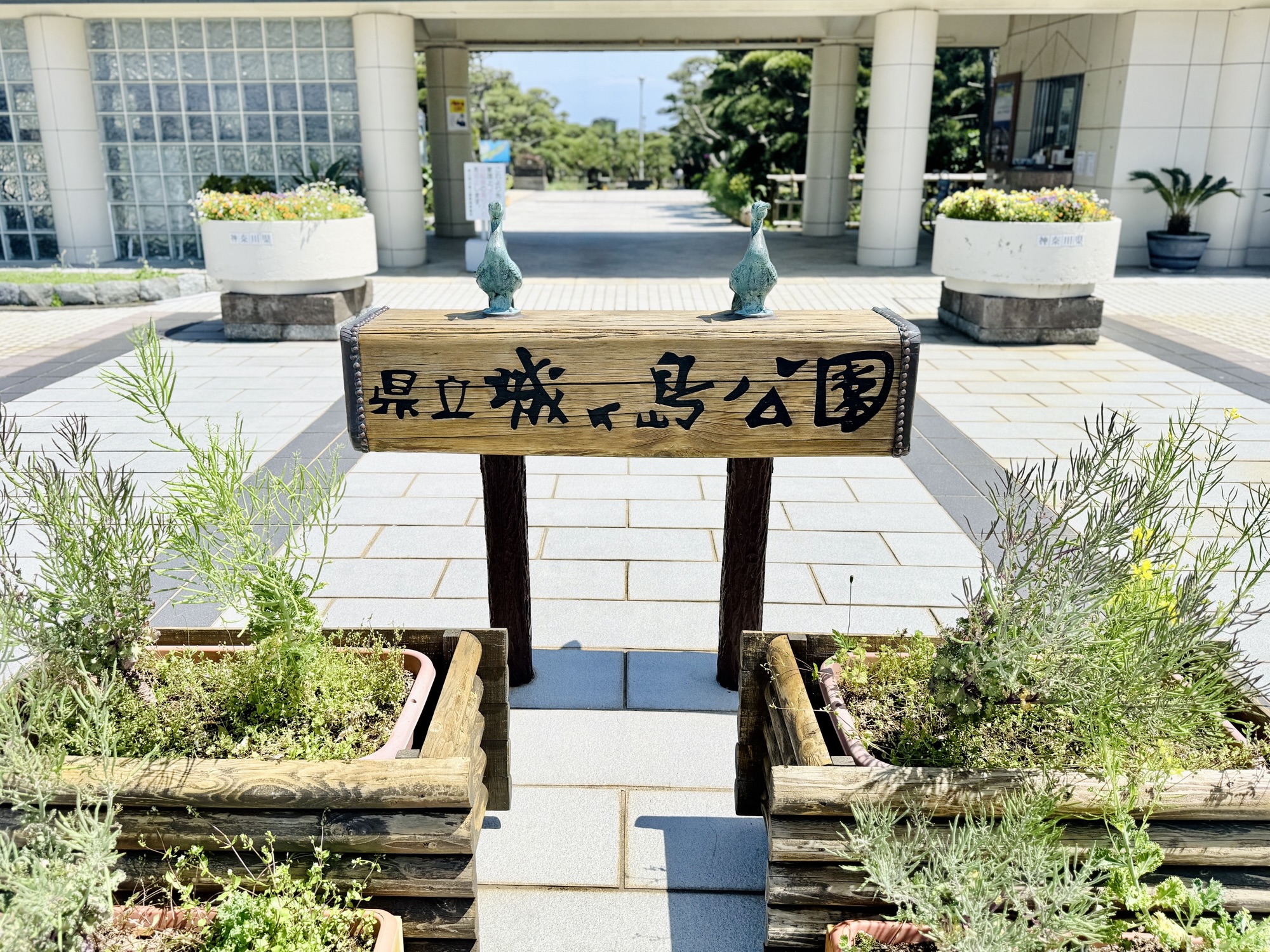 5/30(金) 大人の遠足 三浦半島 カニが踊る森と、波が空けた海の窓へ - 画像 (8)