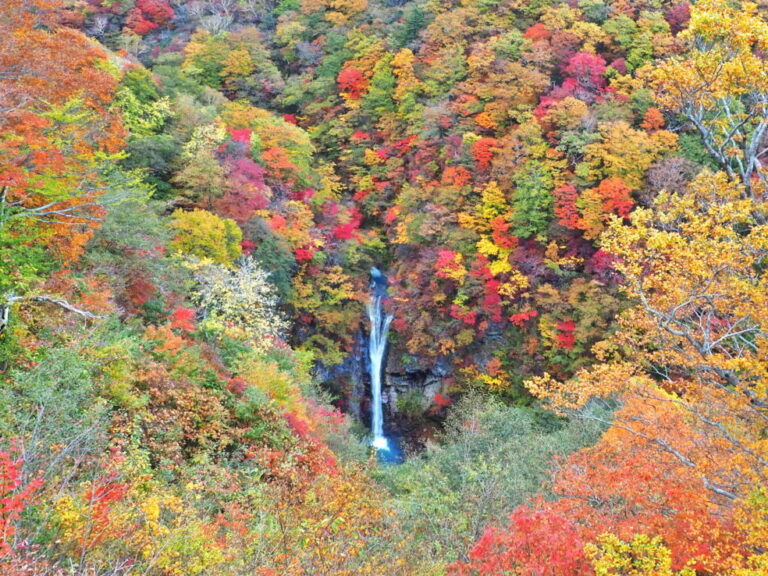 2025/10/6-7 森と名湯、ハーブの休日🌿 紅葉の那須 ごほうびリトリート