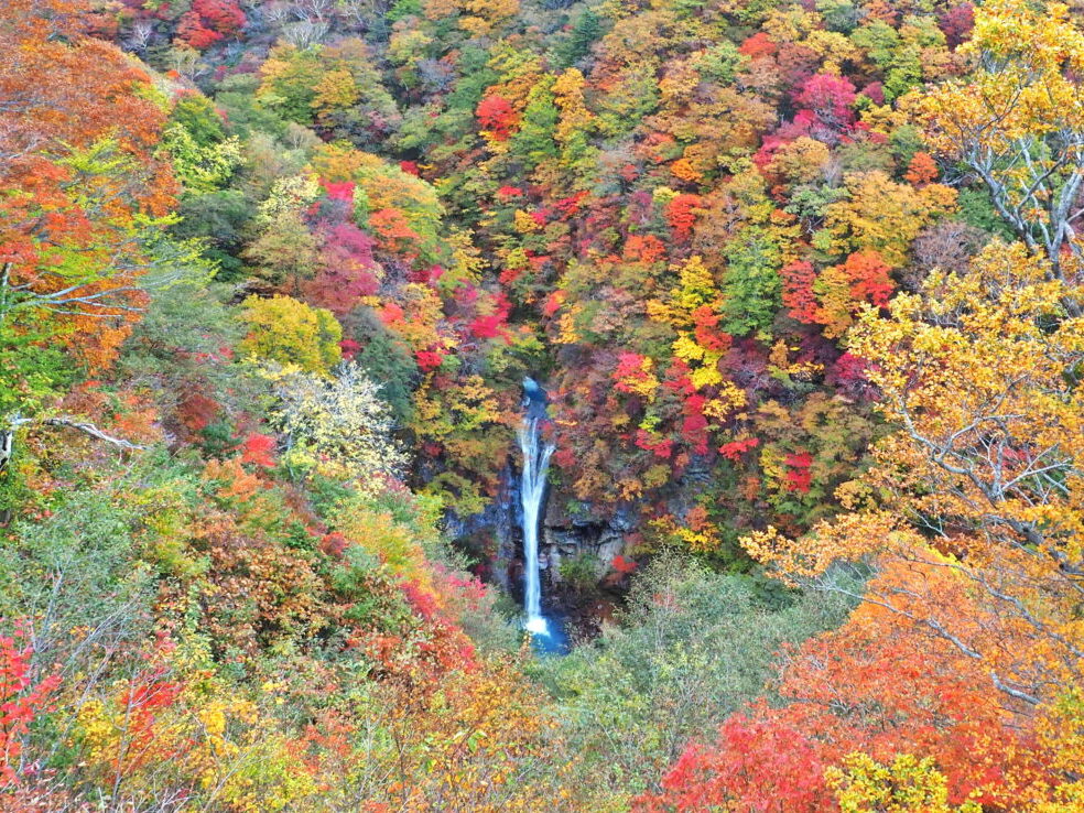 2025/10/6-7 森と名湯、ハーブの休日🌿 紅葉の那須 ごほうびリトリート