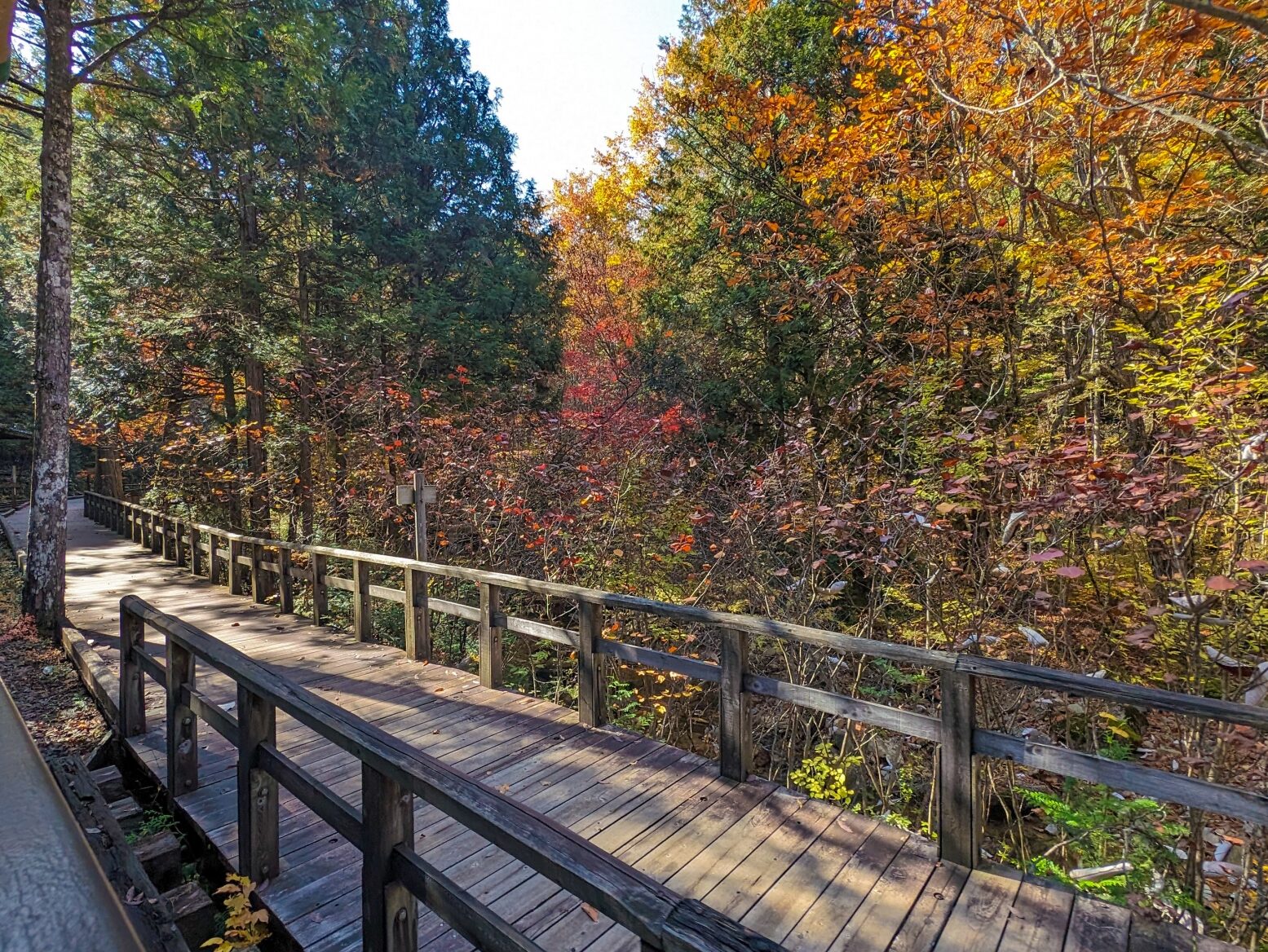 2025/10/5-7 紅葉の茶臼岳と秘湯山小屋♨️ 百名山と森歩きのよくばり那須旅 - 画像 (8)