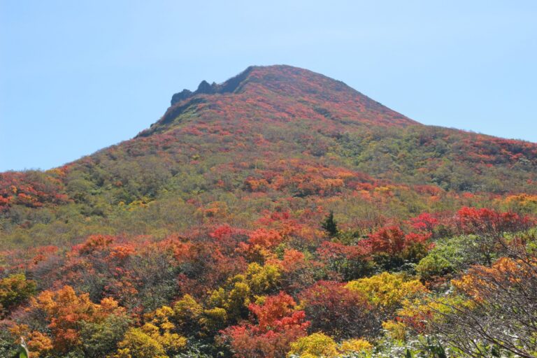 紅葉に染まる登山道から磐梯山の山頂を目指す登山者