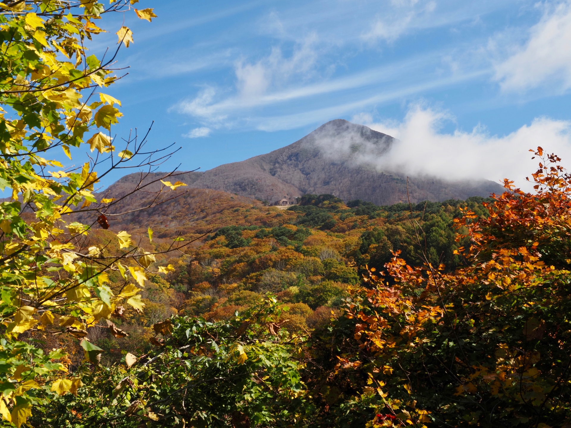 青空のもとに広がる裏磐梯の紅葉風景