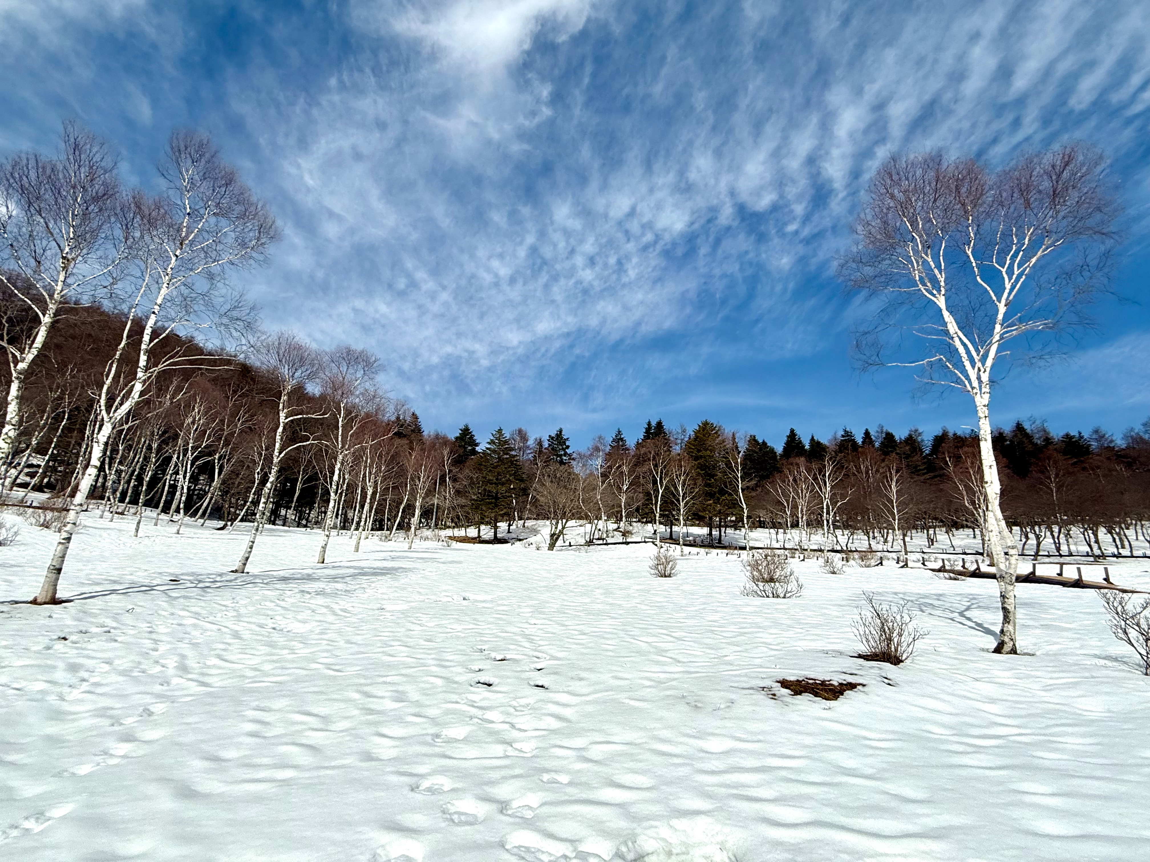 2026/2/8(日)-2/9(月) 入笠山 雪原と山をめぐる最高の雪あそび☃ 満天の星空を仰ぐ山小屋旅 - 画像 (10)