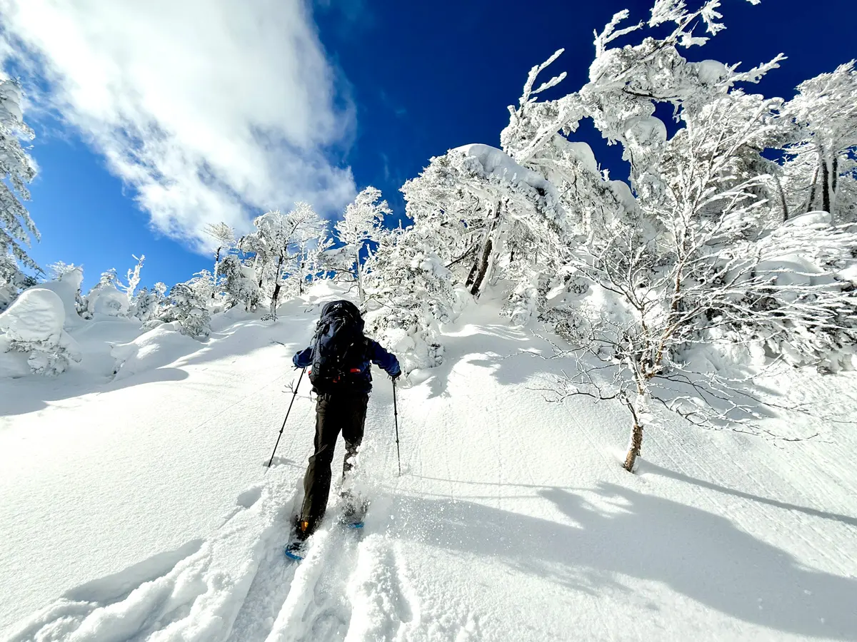 YUKON ユーコン スノーシュー カンジキ 登山 雪山 大人の雪遊び｜スノーシューで歩く、白銀の時間 | 株式会社yamanoha