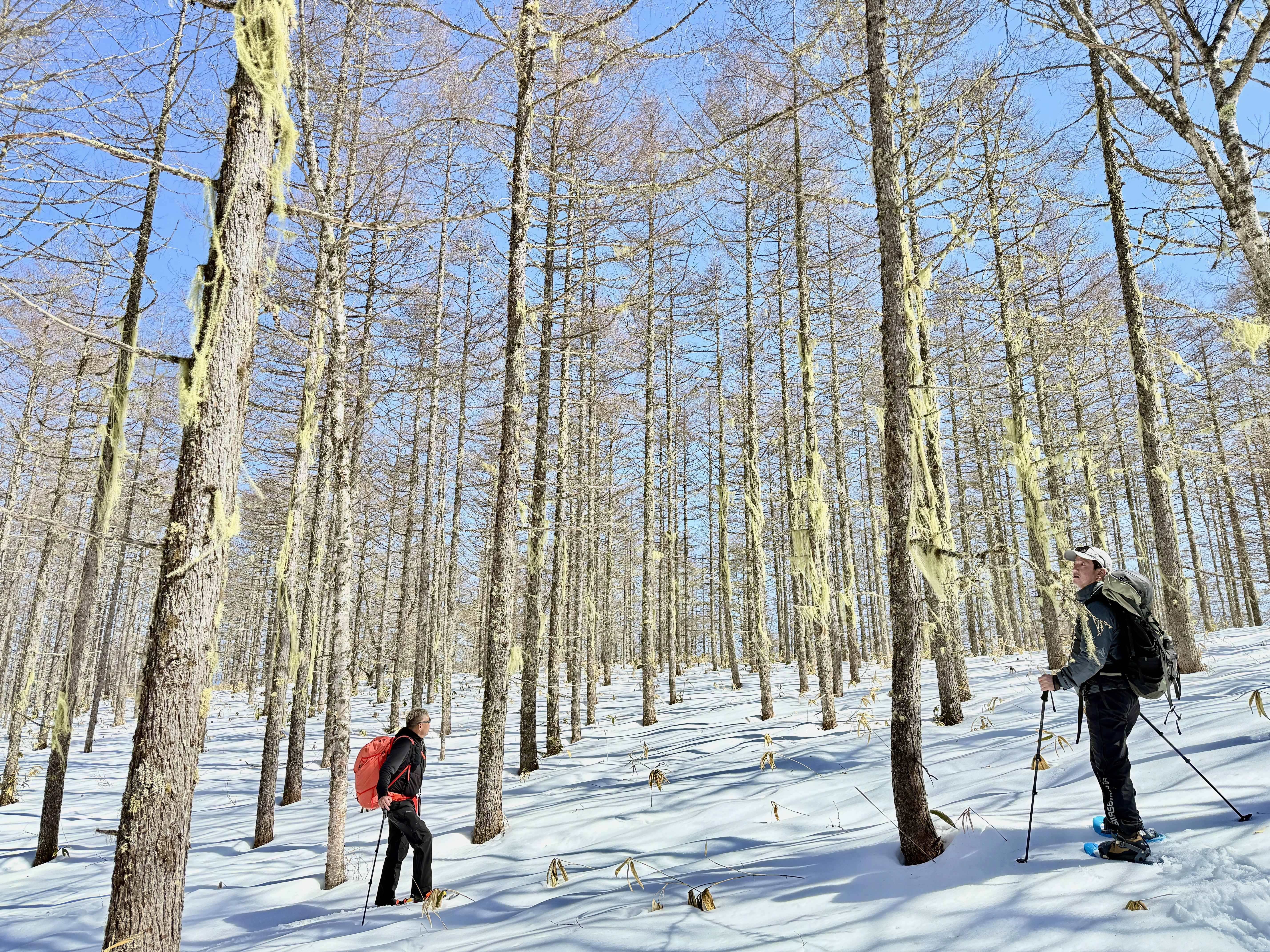 2026/2/8(日)-2/9(月) 入笠山 雪原と山をめぐる最高の雪あそび☃ 満天の星空を仰ぐ山小屋旅 - 画像 (11)