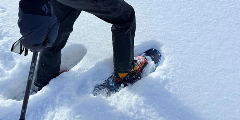大人の雪遊び｜スノーシューで歩く、白銀の時間 | 株式会社yamanoha