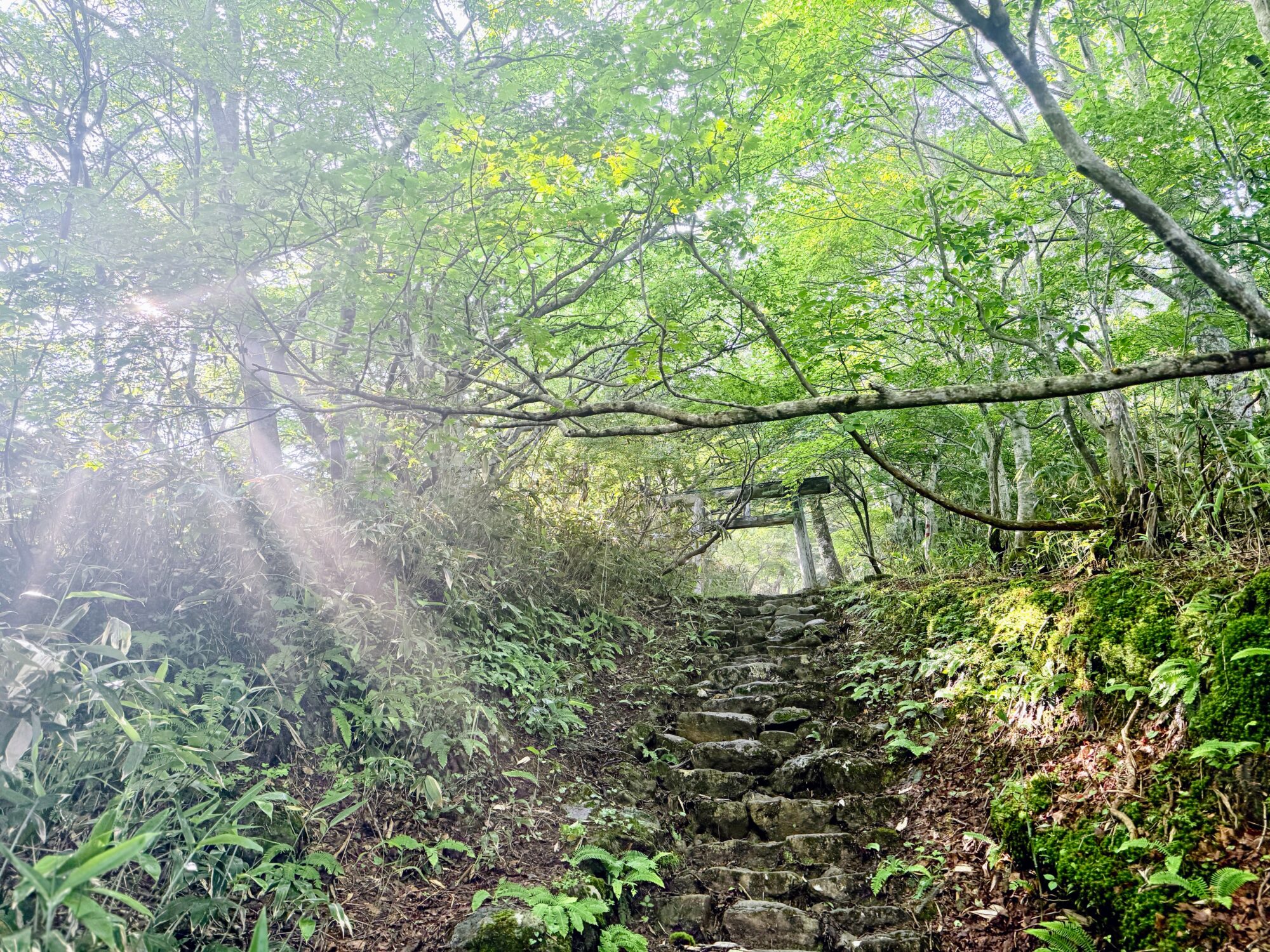初夏の茶臼岳 秘湯の山小屋に泊まる那須旅 - 画像 (3)