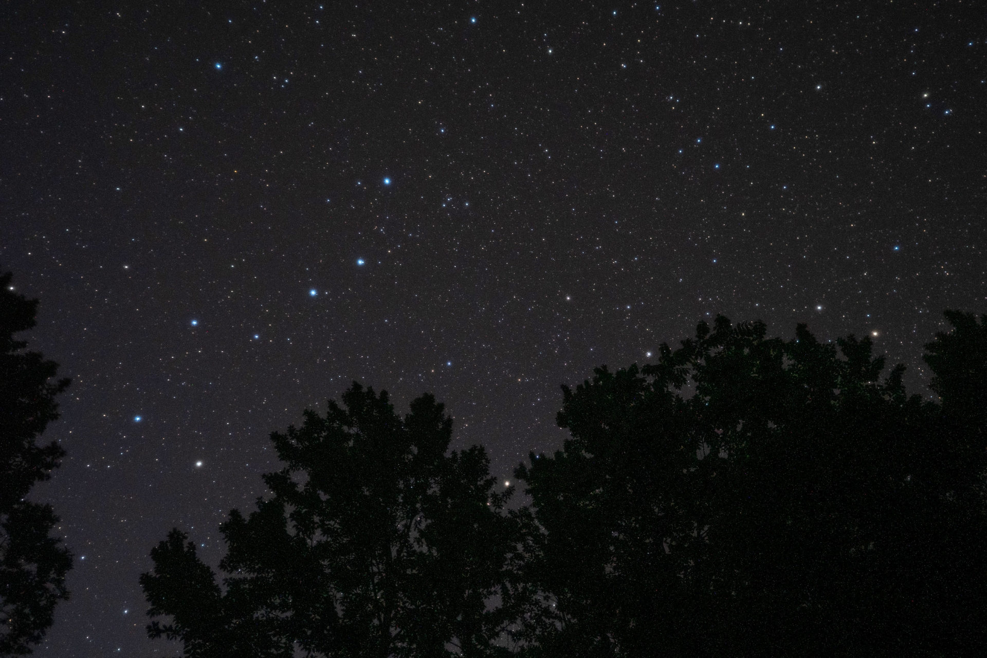 白山の山小屋から見上げる満天の星空