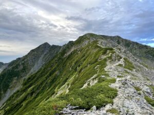 北岳から間ノ岳へ続くハイマツの稜線