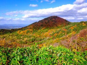 青空のもとで色づく里山の紅葉。秋の青森の登山ツアー