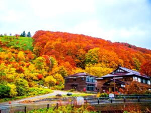 紅葉に包まれた酸ヶ湯温泉旅館の建物。下山後の名湯