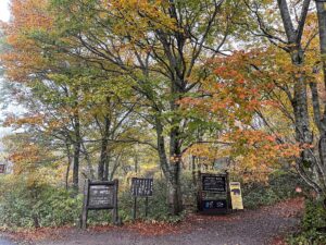 八方台登山口の標識と色づき始めた紅葉