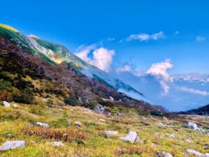 雲海湧く千畳敷上部の稜線と草紅葉