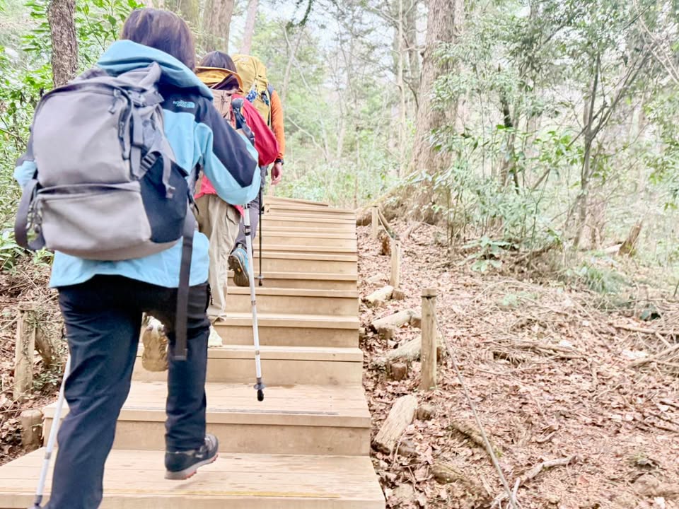 yamanoha自然プログラム